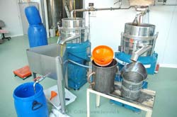 Callas Moulin olives photo-10