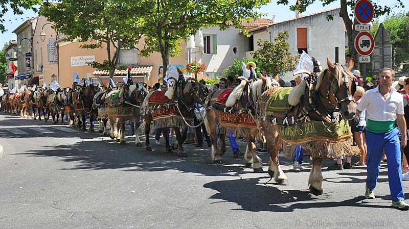  Charrettes photo rognonas-st-eloi0070b.jpg