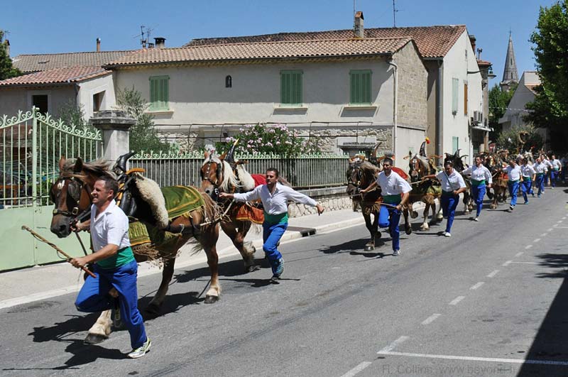  Charrettes photo rognonas-st-eloi0088b.jpg