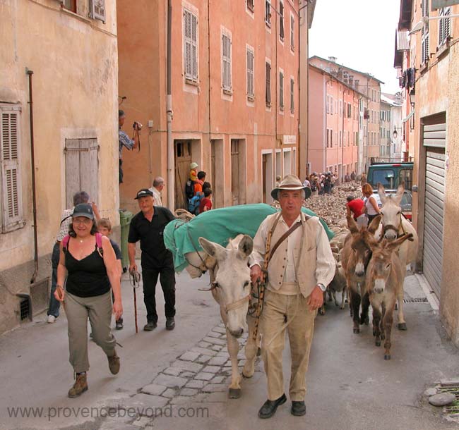  Transhumance St Etienne-de-Tinée photo stetientransh0002b.jpg