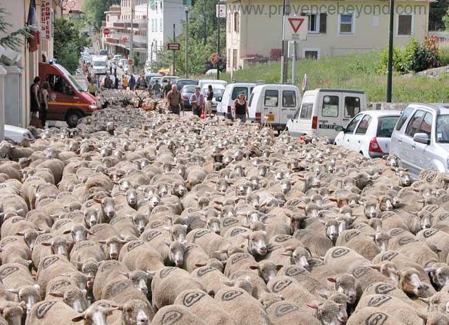  Transhumance St Etienne-de-Tinée photo stetientransh0007b.jpg
