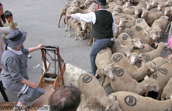  Transhumance St Etienne-de-Tinée photo stetientransh0028b.jpg