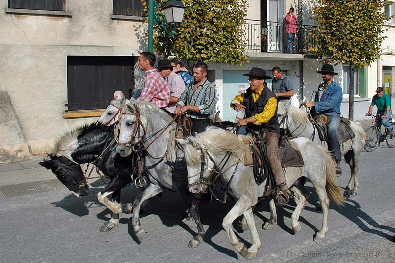  Aigues-Mortes photo aigues-mortes0027b.jpg