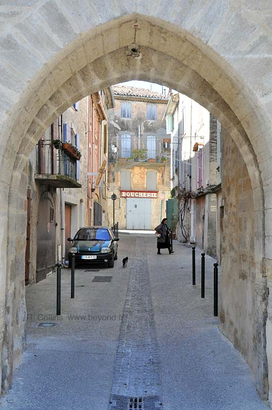  Alleins photo alleins0028b.jpg