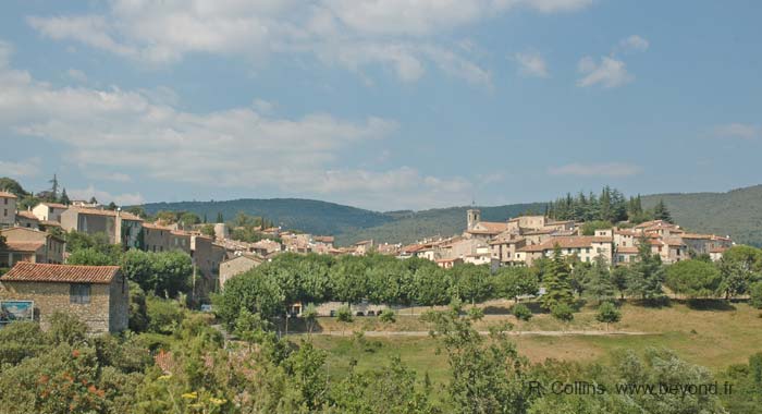  Ampus photo ampus0003b.jpg