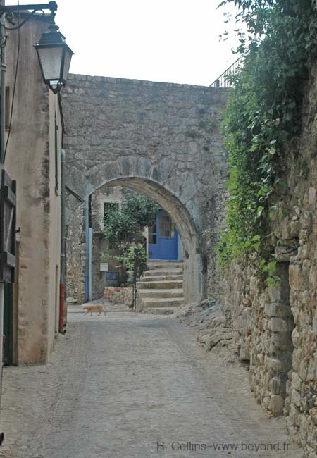  Ampus photo ampus0022b.jpg