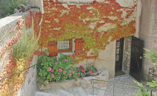  Ampus photo ampus0053b.jpg