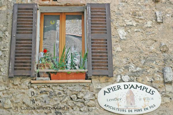  Ampus photo ampus0066b.jpg