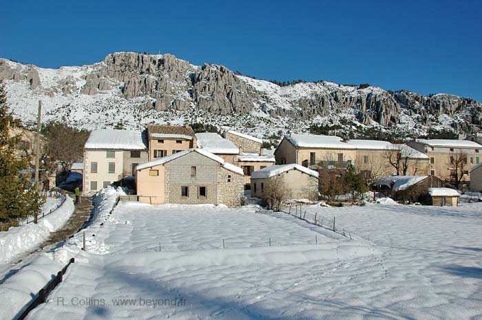  Andon photo andon0012b.jpg