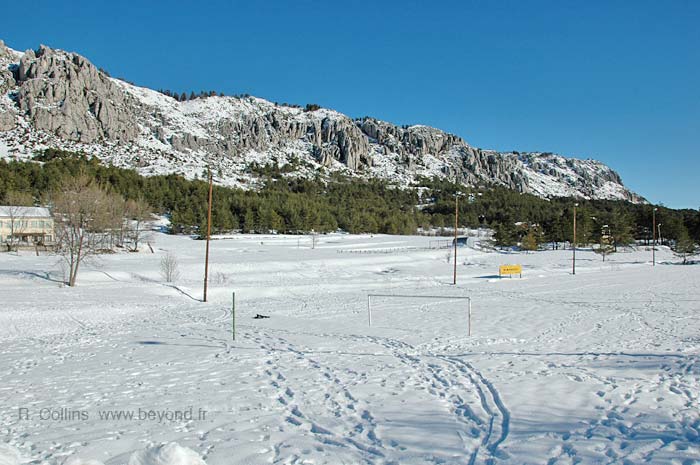  Andon photo andon0038b.jpg