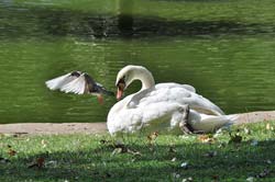 The lovely and peaceful Parc des