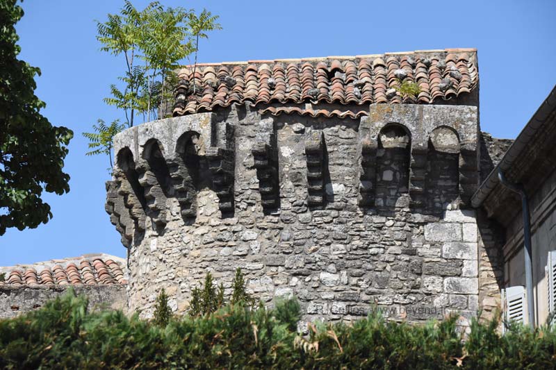  Apt photo apt0101b.jpg