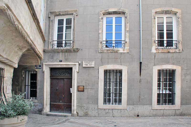  Aramon photo aramon0029b.jpg