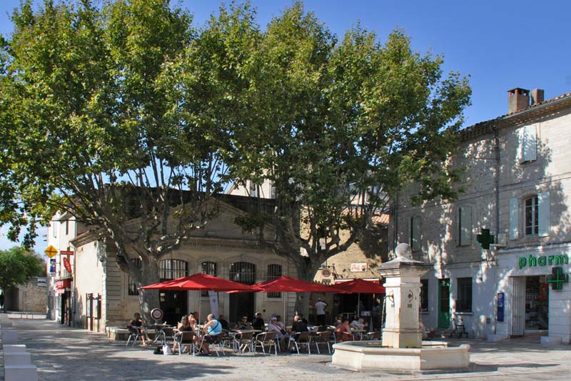  Aramon photo aramon0076b.jpg