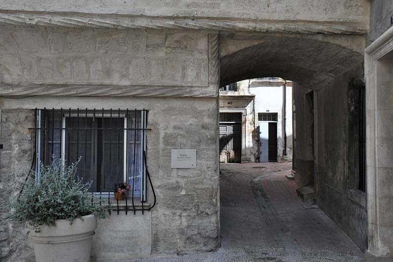  Aramon photo aramon0126b.jpg