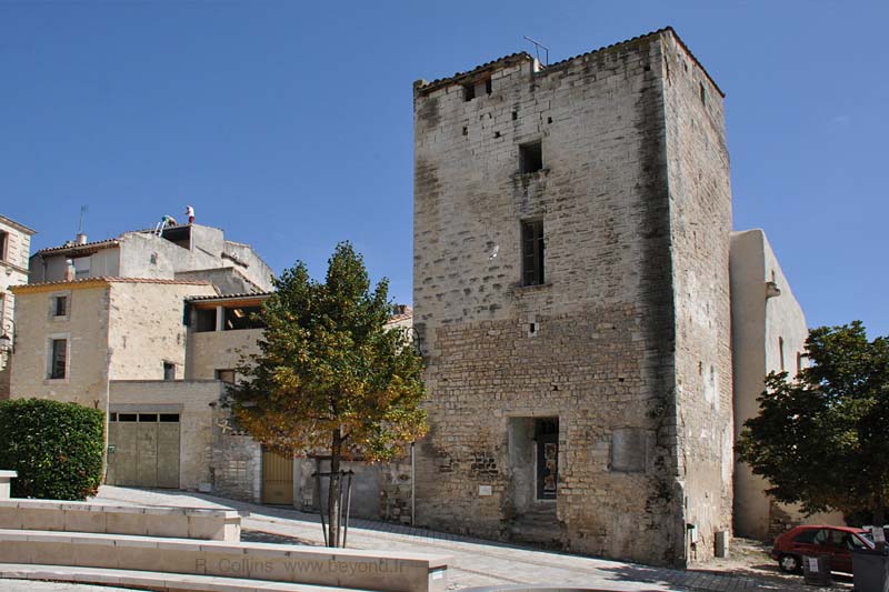  Aramon photo aramon0157b.jpg