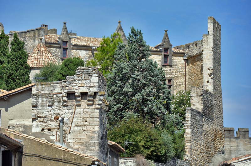  Aramon photo aramon0170b.jpg