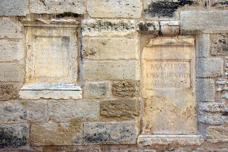  Aramon photo aramon0177b.jpg