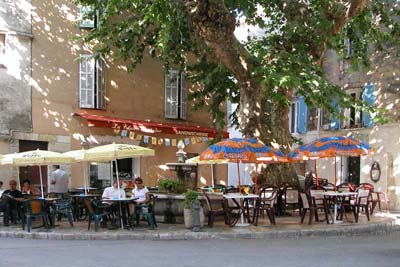 Terrace café beneath shady plane tree