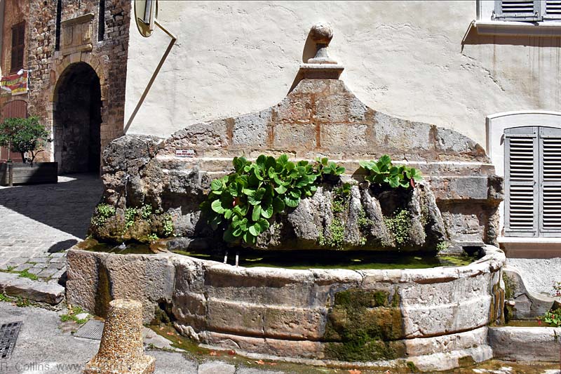  Aups photo aups0124b.jpg