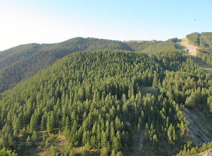  Auron photo auron0008b.jpg