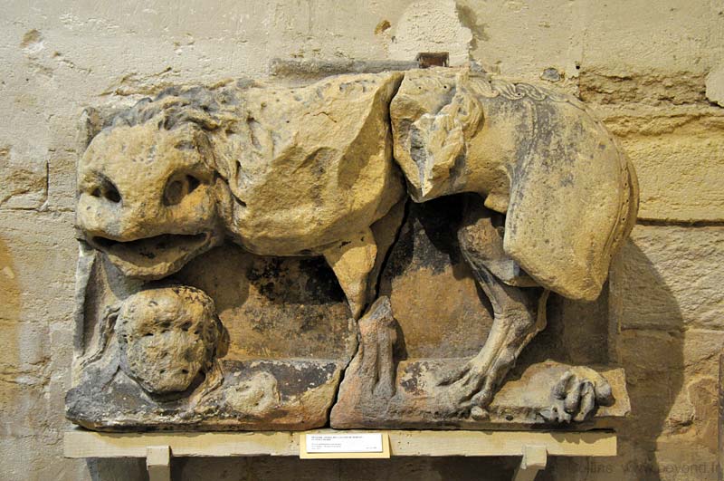  Lapidaire Museum Photos photo avignon-lapidaire0014b.jpg