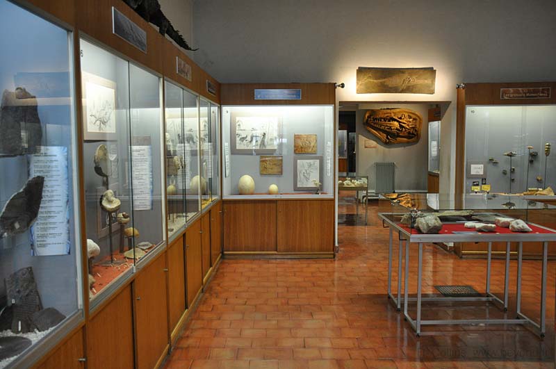  Requien Museum Photos photo avignon-requien0008b.jpg