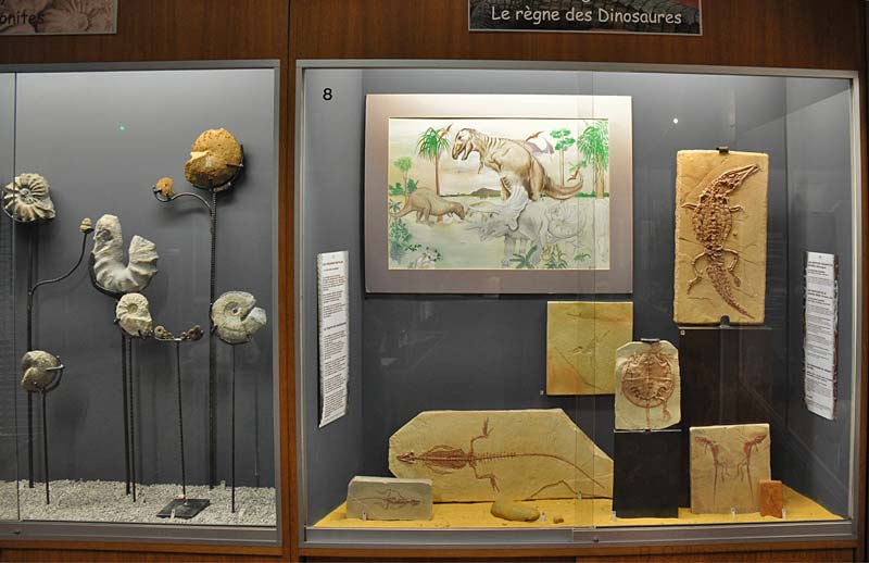  Requien Museum Photos photo avignon-requien0010b.jpg