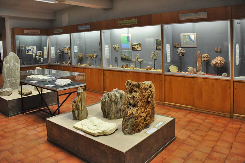  Requien Museum Photos photo avignon-requien0018b.jpg