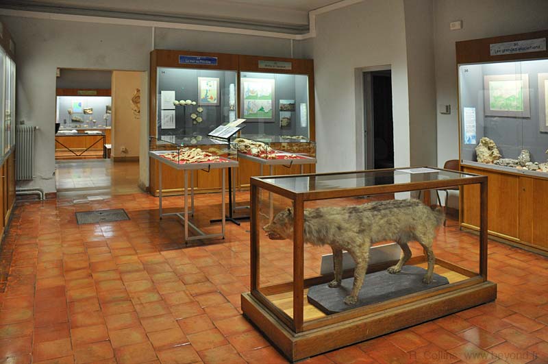  Requien Museum Photos photo avignon-requien0030b.jpg