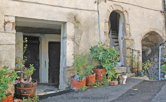  Bargemon photo bargemon0033b.jpg