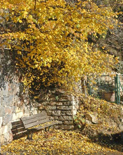  Bargemon photo bargemon0035b.jpg