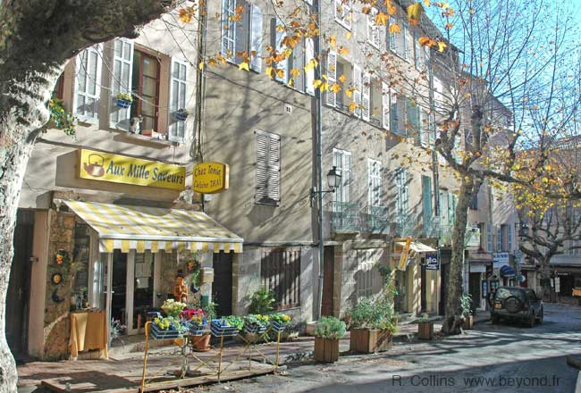  Bargemon photo bargemon0038b.jpg