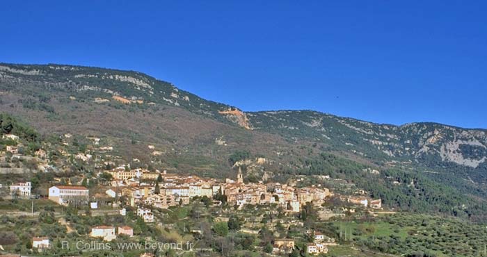  Bargemon photo bargemon028b.jpg