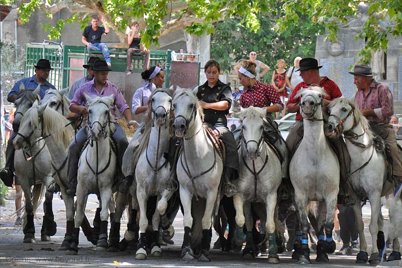  Barjac photo barjac-abrivade0071b.jpg