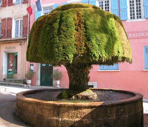  Barjols photo barjols0047.jpg