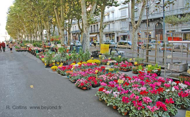  Béziers photo beziers0035b.jpg