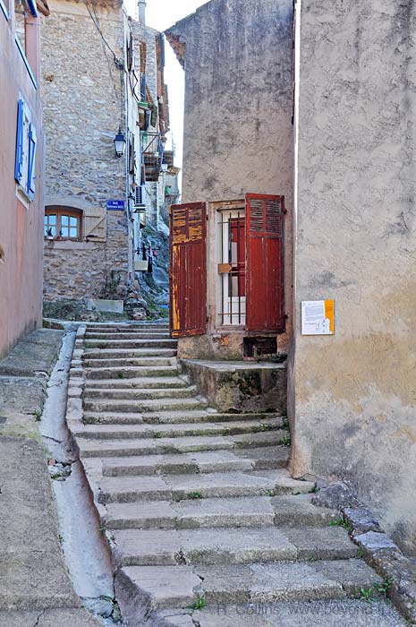  Bras photo bras0017b.jpg