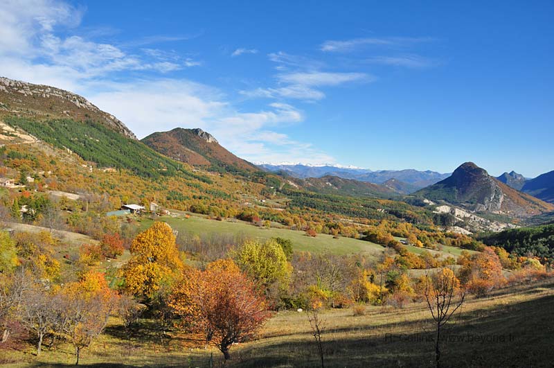  Brianconnet photo brianconnet0029b.jpg