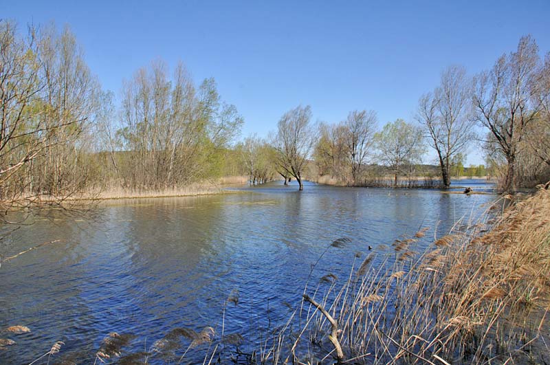  Capelle-et-Masmolène photo capelle-masmolene-etang0036b.jpg