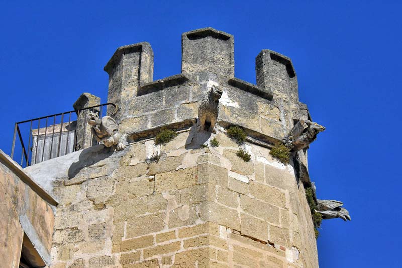  Cavaillon photo cavaillon0073b.jpg