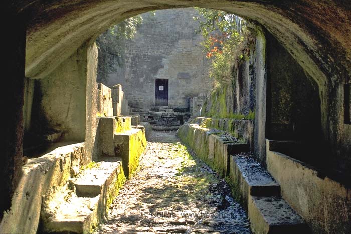  Cereste photo cereste-carluc002b.jpg