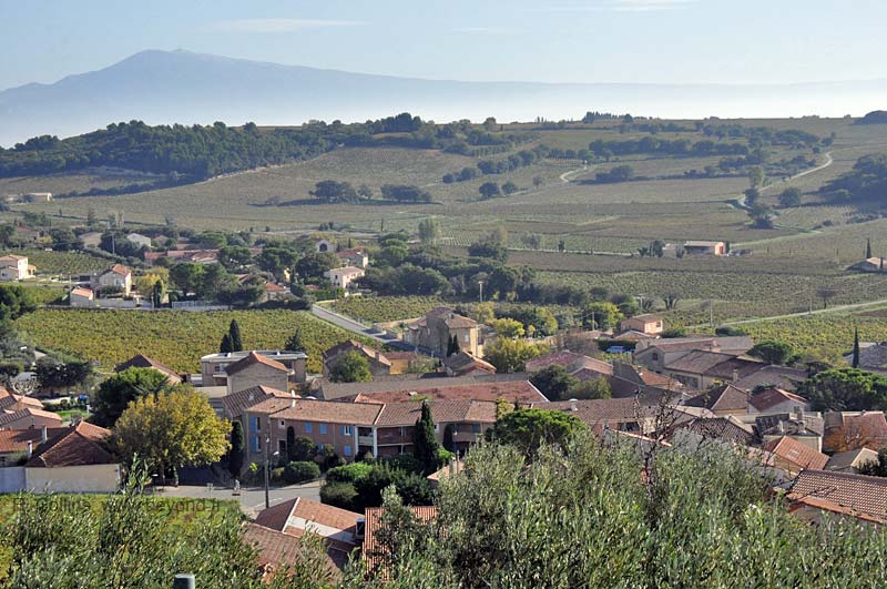  Chateauneuf-du-Pape photo chateauneuf-pape0117b.jpg