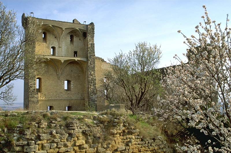  Chateauneuf-du-Pape photo chateauneuf-pape061b.jpg
