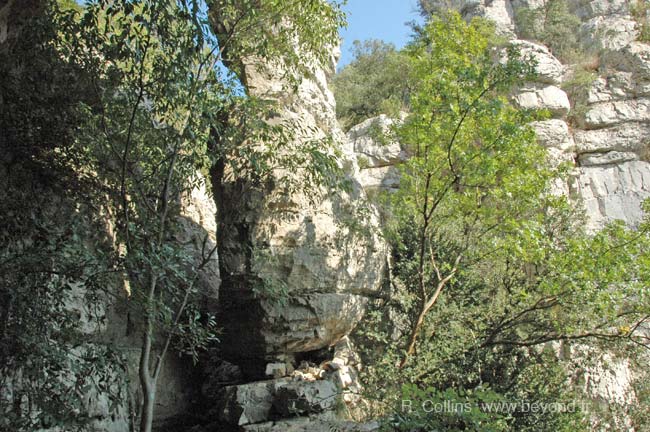  Corconne Hike photo corconnehike0026b.jpg