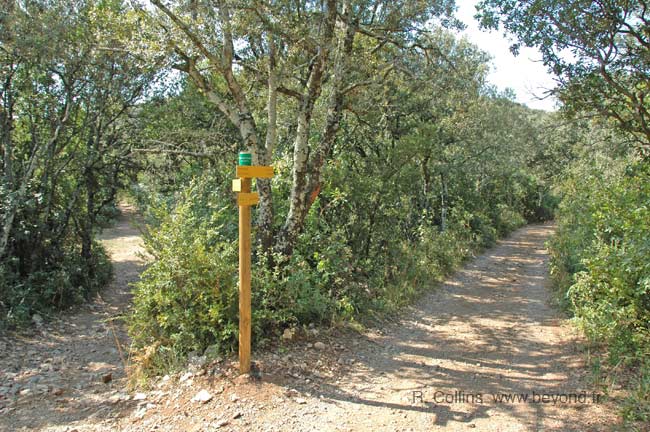  Corconne Hike photo corconnehike0064b.jpg