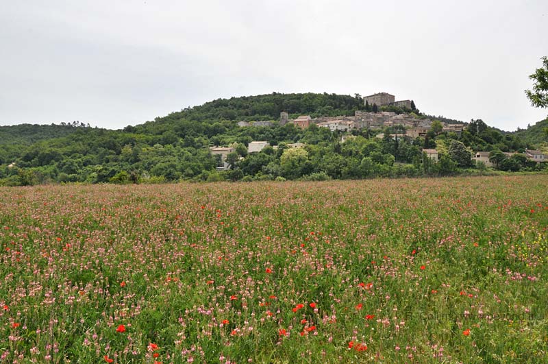  Esparron-de-Pallières photo esparron-pallieres0008b.jpg