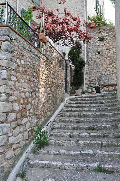  Esparron-de-Pallières photo esparron-pallieres0065b.jpg