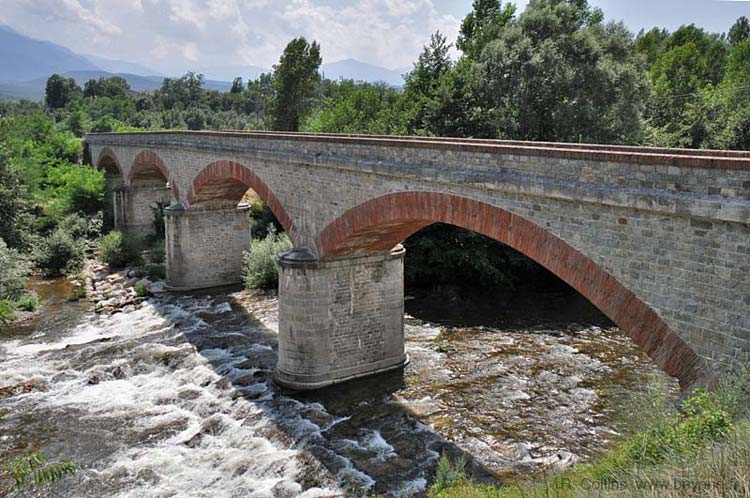  Eus photo eus0079b.jpg