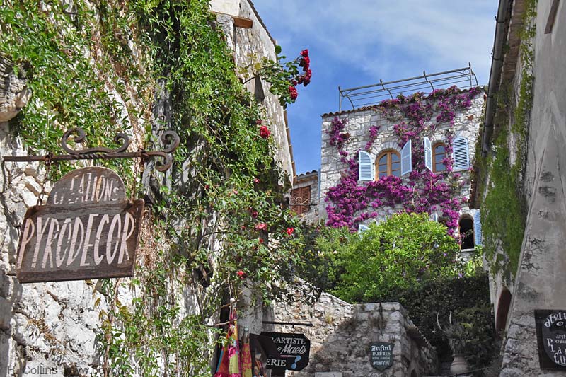  Eze photo eze0060b.jpg